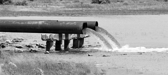 Strafverteidiger Steffen Lindberg Umweltstrafrecht Strafverteidiger Steffen Lindberg Umweltstrafrecht